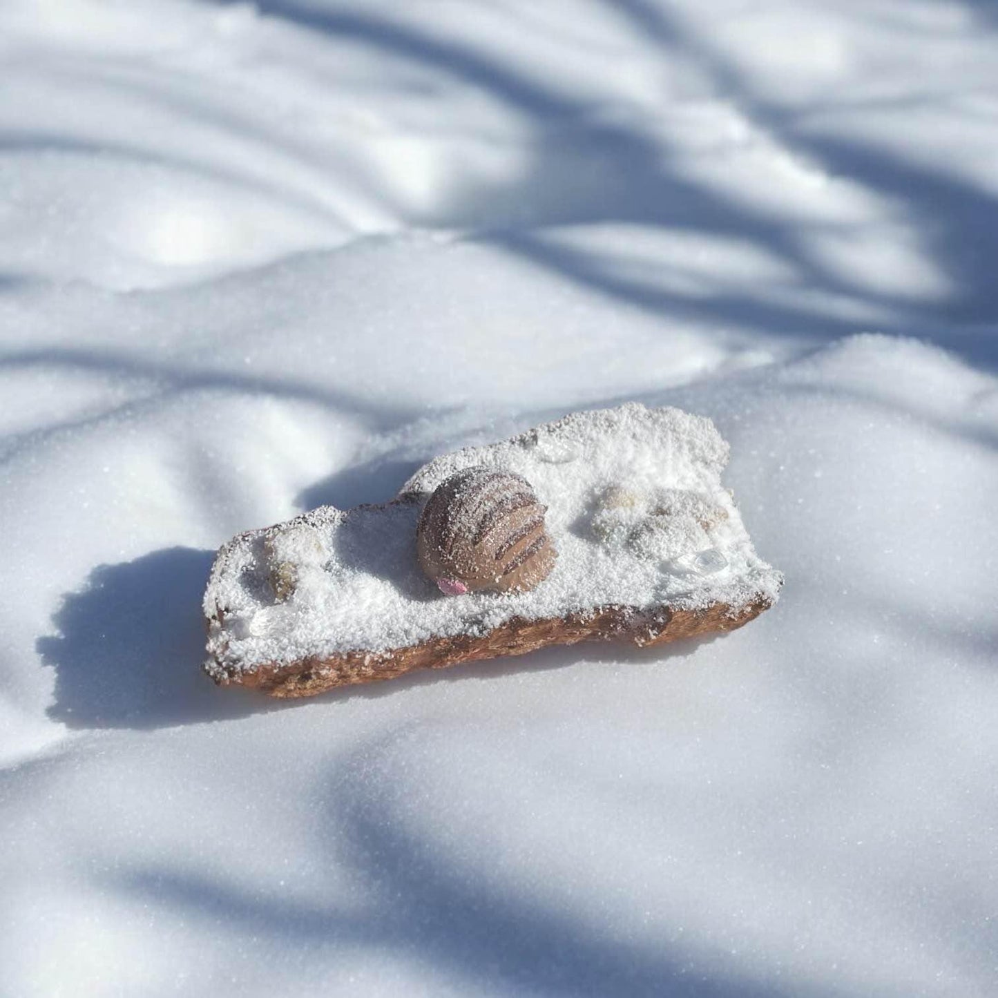 Handcrafted Pokémon dioramas on real bark | Unique scenes featuring various Pokémon | Perfect gift for Pokémon fans